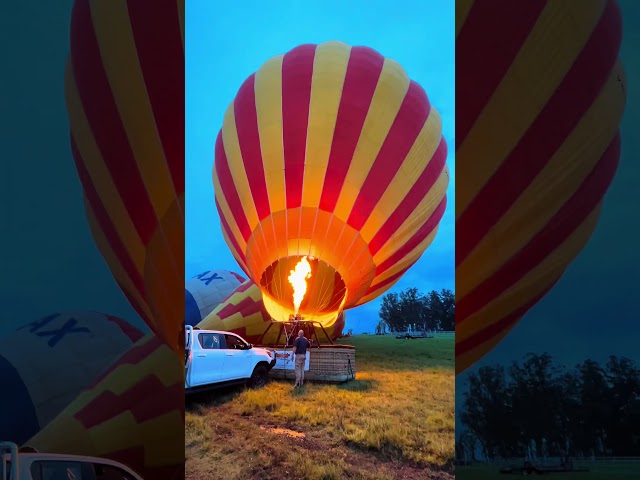 Hot Air Balloon Gold Coast