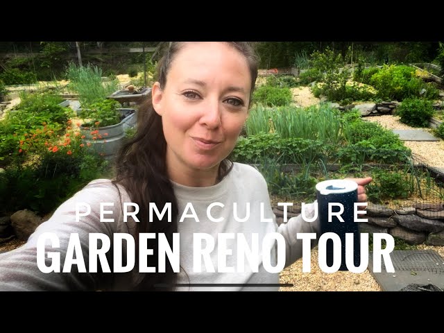 Tour My Updated Permaculture Garden / No fence, less paths, more growing space