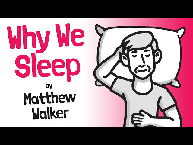 Why We Sleep Book Review 📖 Matthew Walker