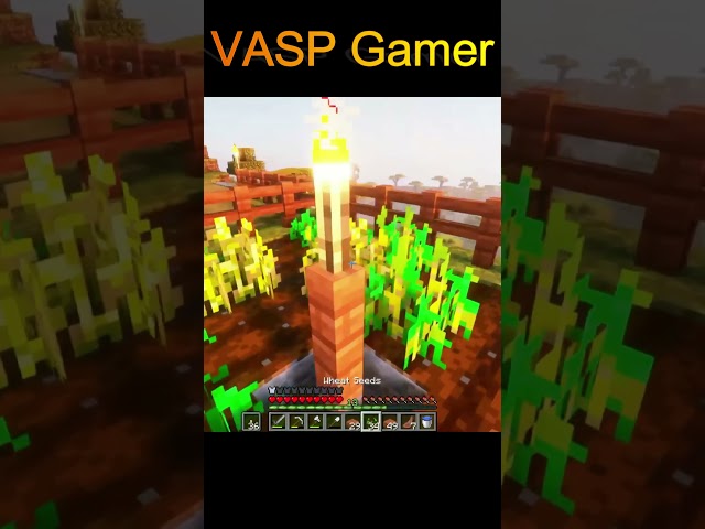 Minecraft || VASP Gamer #shorts #gaming #trending #viral #minecraft #vasp