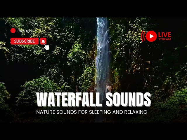 River Waterfall Sounds For Sleeping - Relaxing Waterfall Sounds in a Serene Forest