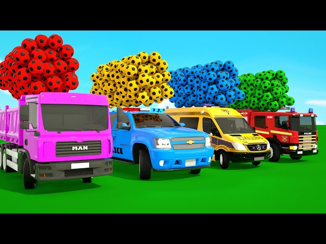 Bingo Song + The Wheels on The Bus Song, Baby cars and soccer balls-Baby Nursery Rhymes & Kids Songs