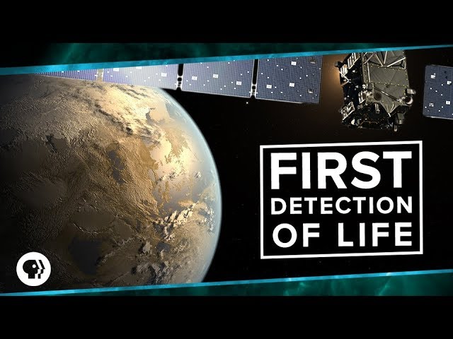 First Detection of Life