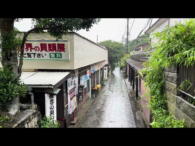 4K Rain Japan Street