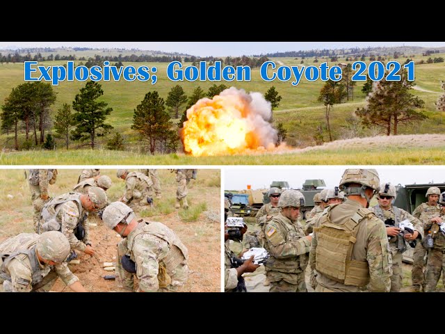 Combat Engineers train with Explosives; Golden Coyote 2021