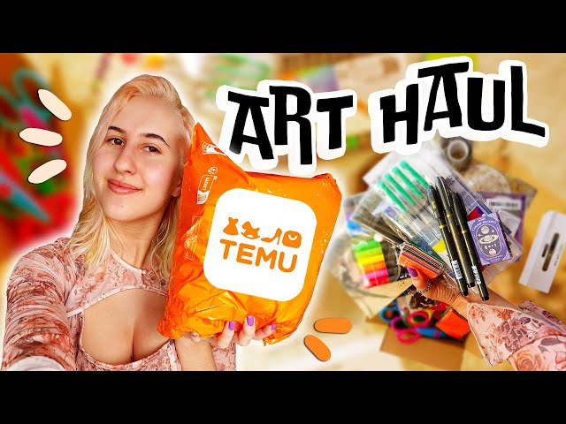 Is Temu Worth It?? I Found Crazy Random Art supplies