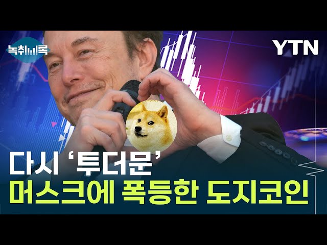 도지코인 '고공행진'...비트코인 상승에 알트코인도 줄줄이 급등 [Y녹취록] / YTN