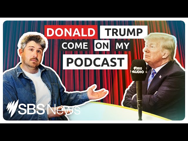 Theo Von, Logan Paul and Joe Rogan: Here's why you're seeing Trump all over YouTube