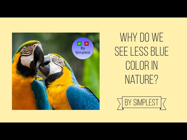 Why do we see less blue color in nature?