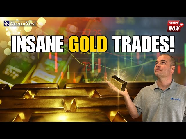 Best Gold Stock Picks to End 2024 with a Profit! | VectorVest