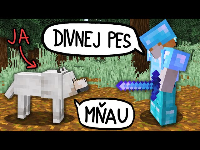 Prevtelil som sa do JEHO PSA - MINECRAFT TROLLING KIDA