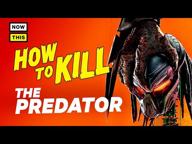 How to Kill the Predator | NowThis Nerd