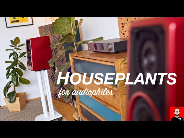 Houseplants for audiophiles (April Fool's 2021)