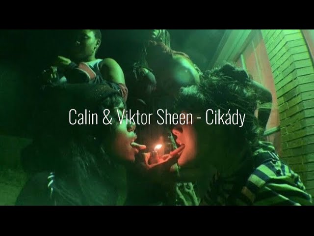 Calin & Viktor Sheen - Cikády (Speed up & pitch)