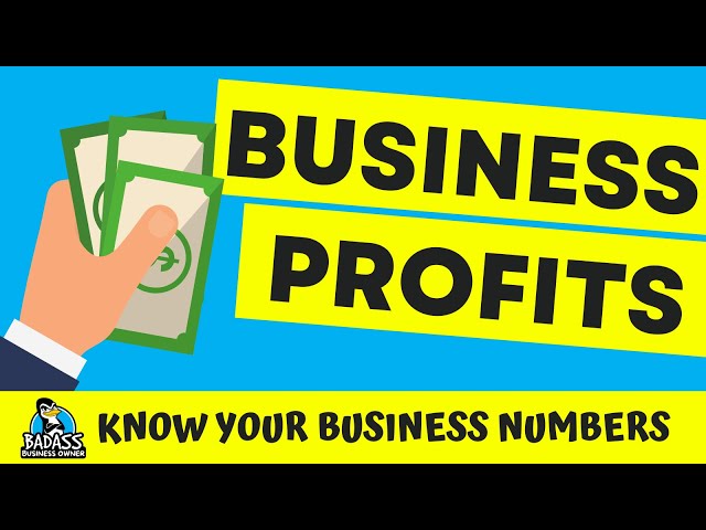 What to Do with Your Business Profits