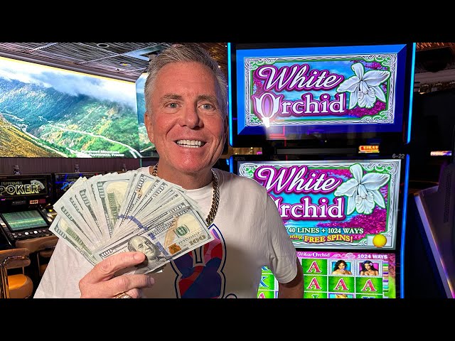 Classic Slot Games To Start The Wild Ride