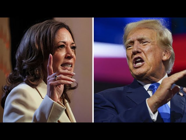 The Trump vs Kamala predictors have NO IDEA