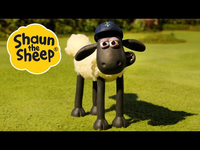 Wildlife Watch / The Pelican | 2 x Episodes | Shaun the Sheep S4