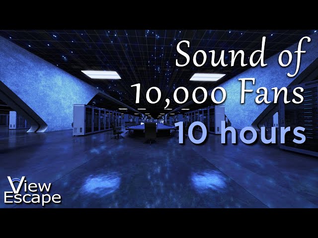 Fan Noise | Fan Sounds with Deep Bass for Sleep | Server Room Ambience | 1000's of fans | 10 HRS