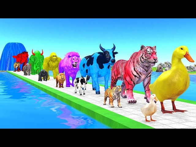 Paint Animals Duck,Tiger,Cow,Lion,Gorilla,TuskedElephant,Dinosaur Fountain Crossing Animal Game New