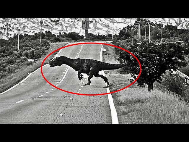 15 Dinosaurs Caught On Camera And Seen In Real Life