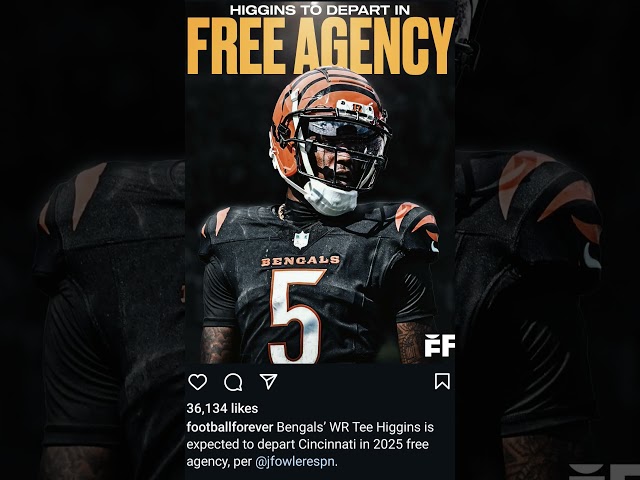 WR - Tee Higgins Free Agency