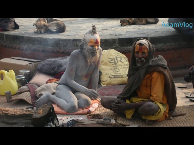 Naga Baba Aghori Baba Sadhu Sadhvi in Mahashivratri 2018 | Pashupatinath