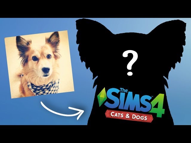 Making Page! - StacyPlays The Sims Cats & Dogs (Ep.4)