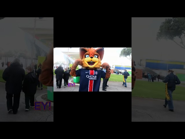 Bubbles the Bear & Germain Le Lynx at Perth International Football Cup: West Ham v PSG (Part 1)