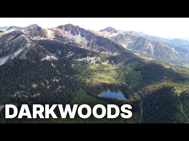 Darkwoods - Where Nature Survives | Free Documentary