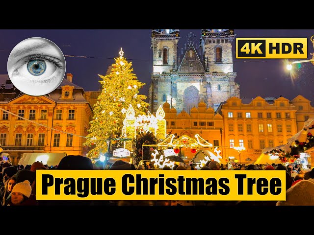 The main Prague Christmas Tree in Old Town Square was lit up 🇨🇿 Czech Republic 4k HDR ASMR 2023