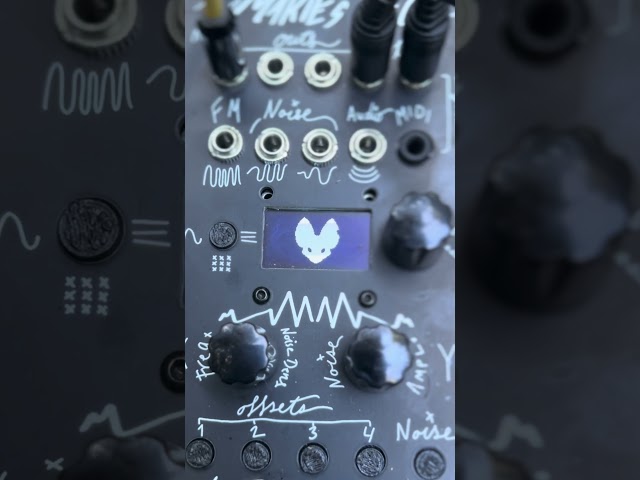 GINKO ULTRA + LIKAON INSTRUMENTS ft #marieslfo #eurorack #fieldperformance #modularsynth #lfo