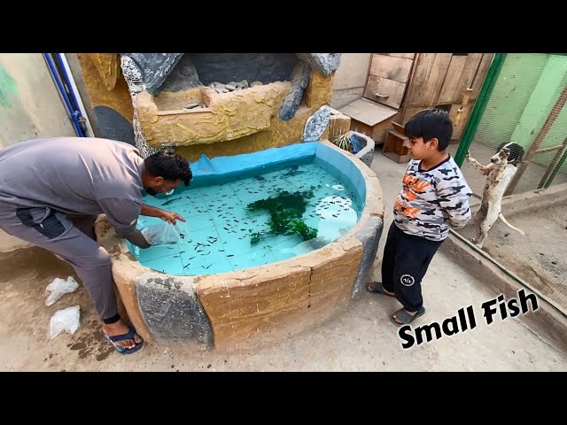 FOUNTAIN Ko Small Fishes Se Bhr Dia😍