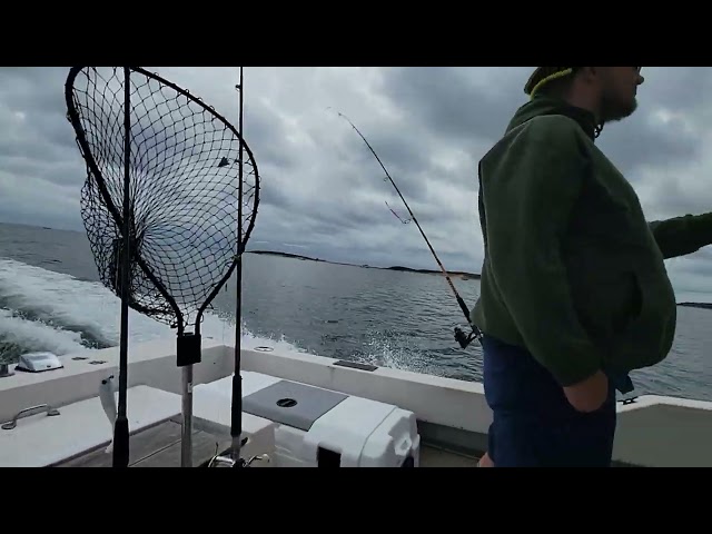 Sea Ox topped out heading in. Wellfleet Harbor August 2024