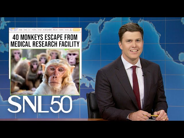 Weekend Update: 43 Monkeys Escape Research Facility, Moo Deng's New Rival - SNL