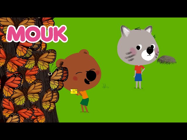 Mouk et Chavapa à la Découverte des Papillons 🦋 | MOUK Dessin animé Aventures