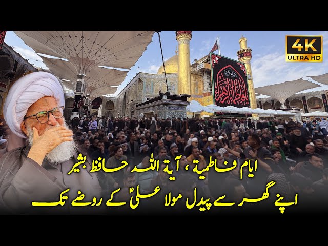 Hazrat Ali as K Roze Me Julus e Aza - 13 Jamadul Sani Ayyam e Fatimiya - Najaf Iraq