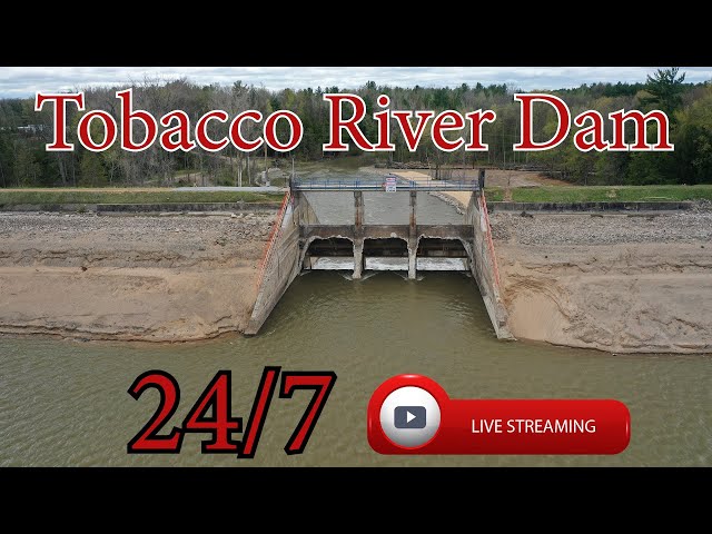 Tobacco River Dam - Michigan - 24/7 HD Live Stream