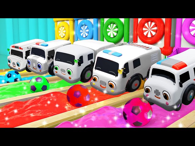 Where are the Colors? | ABC Song | Learn Colors | Baby Bus Kids Songs