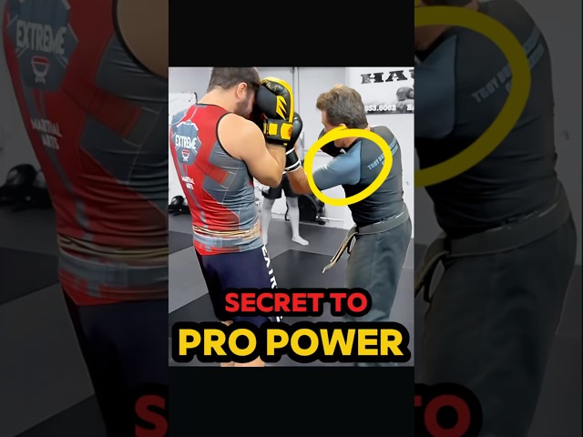 Generate Power Like A Pro (Boxing, Kickboxing & Muay Thai)