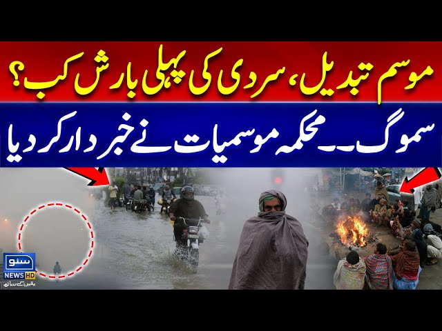 Weather Update | First Rain Of Winter | Smog Alert | Meteorological Department Warns | Suno News HD