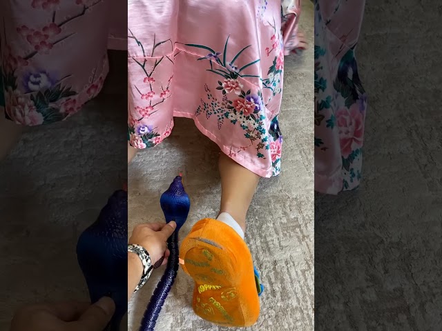 My wife VS snake🐍🤣😂 #shorts by Tsuriki Show