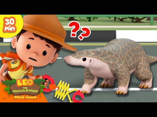 HELP THE PANGOLIN CROSS THE ROAD?! 🛣️ | Unique Animals 🤩 | Leo the Wildlife Ranger | Kids Cartoons