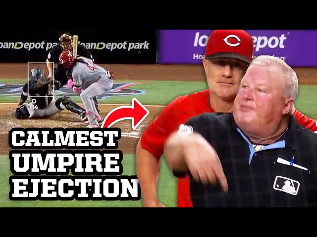 Calmest umpire ejection ever, a breakdown