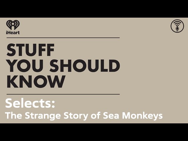 Selects: The Strange Story of Sea Monkeys | STUFF YOU SHOULD KNOW