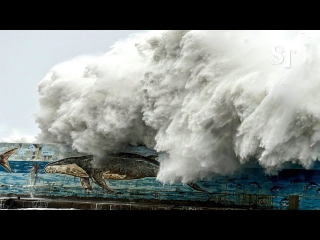 Taiwan shuts down as strong Typhoon Kong-rey hits