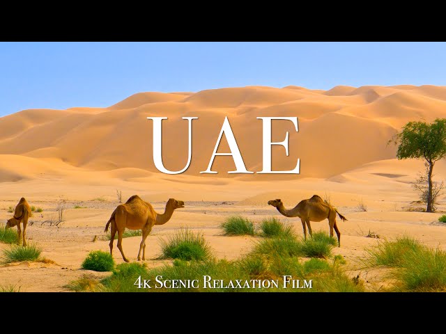 United Arab Emirates 4K - Scenic Relaxation With Calming Music