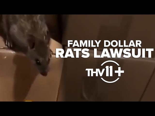 Rat infestation at Family Dollar warehouse | THV11+ Timeline