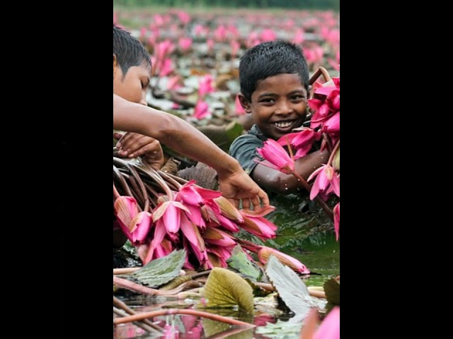 Amazing bangladesh