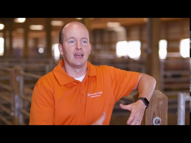 University of Findlay – Animal Science Major Monday